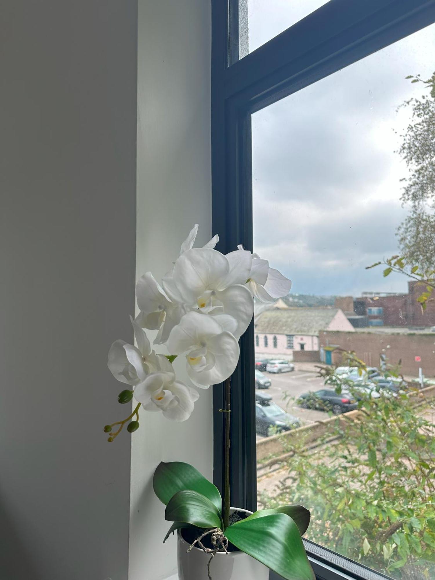 Sea View Apartment Whitehaven Kültér fotó